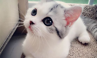 欢迎使用Z-BlogPHP！